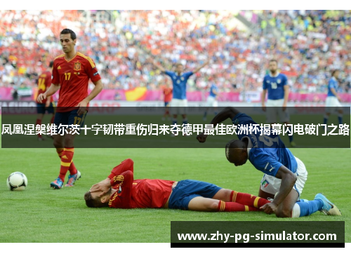 凤凰涅槃维尔茨十字韧带重伤归来夺德甲最佳欧洲杯揭幕闪电破门之路