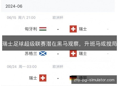 瑞士足球超级联赛潜在黑马观察，升班马或搅局